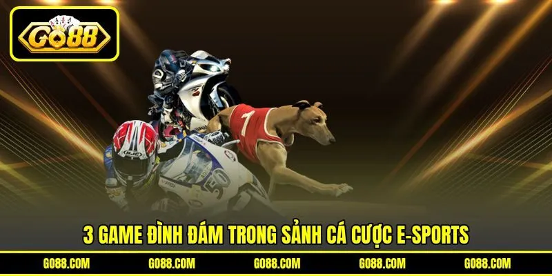 3 game đình đám trong sảnh cá cược E-sports