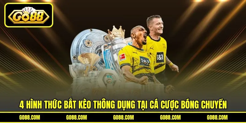 4 hình thức bắt kèo thông dụng tại cá cược bóng chuyền