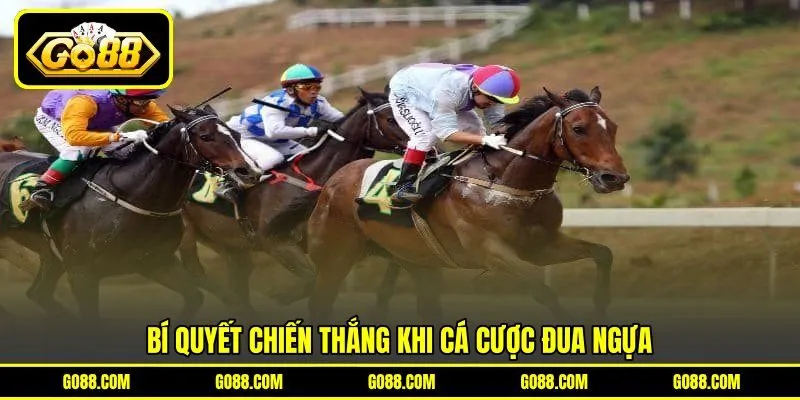 Bí quyết chiến thắng khi cá cược đua ngựa