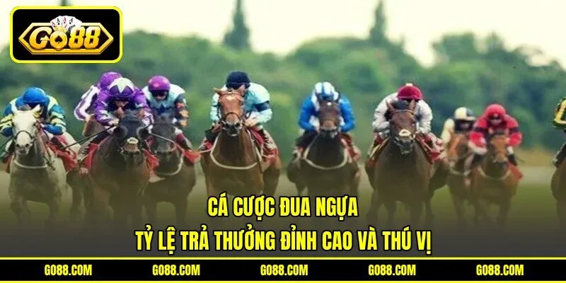 Cá Cược Đua Ngựa – Tỷ Lệ Trả Thưởng Đỉnh Cao Và Thú Vị