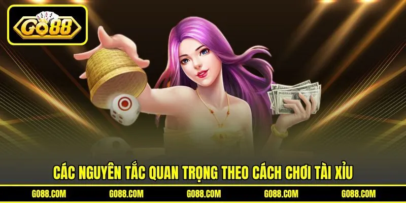 Các nguyên tắc quan trọng theo cách chơi tài xỉu Các nguyên tắc quan trọng theo cách chơi tài xỉu