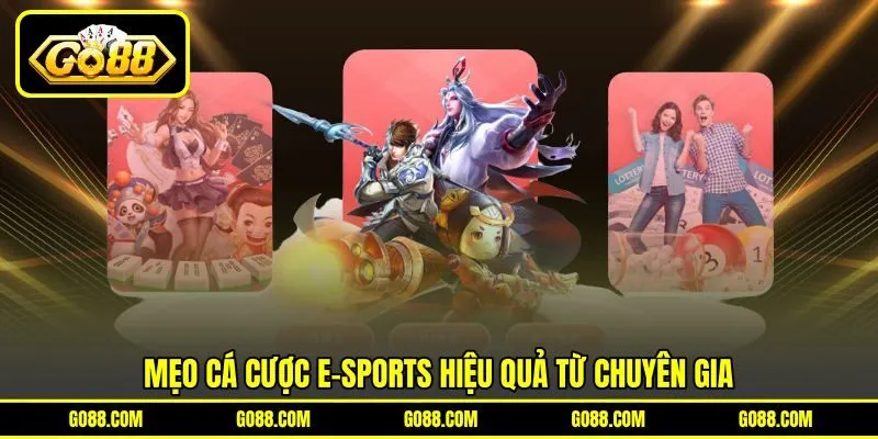Mẹo cá cược E-sports hiệu quả từ chuyên gia