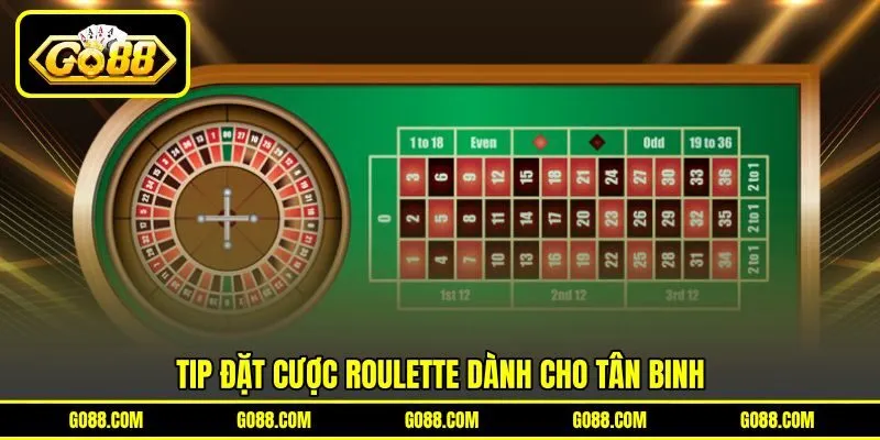 Tip đặt cược Roulette dành cho tân binh