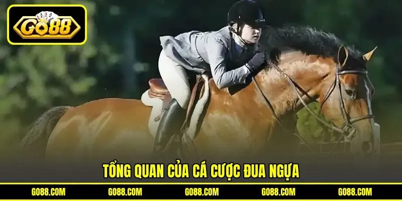 Tổng quan của cá cược đua ngựa